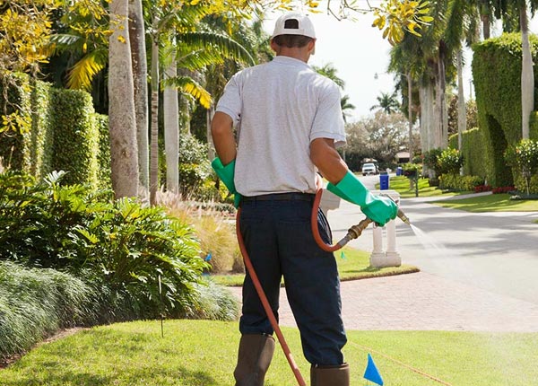 About Wallula WA Pest Control Pros